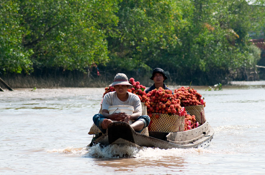 %_tempFileName2594%20VIETNAM%20%20Vinj%20Long%20-%20Mekong%