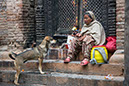 %_tempFileName2922%20Swayambhunath%20-the%20dog%20and%20the%20faithful%