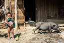 %_tempFileName6649%20LAOS%20Phongsaly,%20Akha%20Tribe%