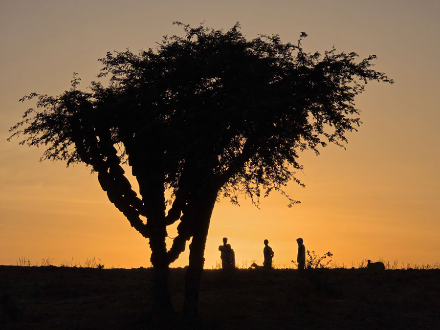 %_tempFileName15%20Tigray%20-%20tramonto%