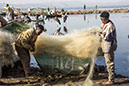 %_tempFileName29%20Hawassa%20-%20Fish%20Market%