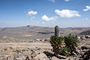 %_tempFileName32%20Bale%20Mountains%20National%20Park%