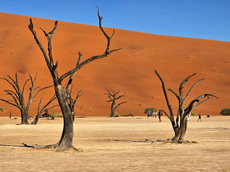 %_tempFileName10%20Sossusvlei,%20Namib%20Desert,%20Deadvlei%