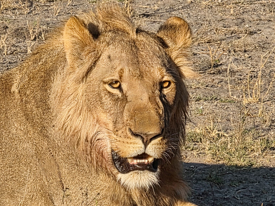 %_tempFileName21%20Chobe%20National%20Park,%20leone%